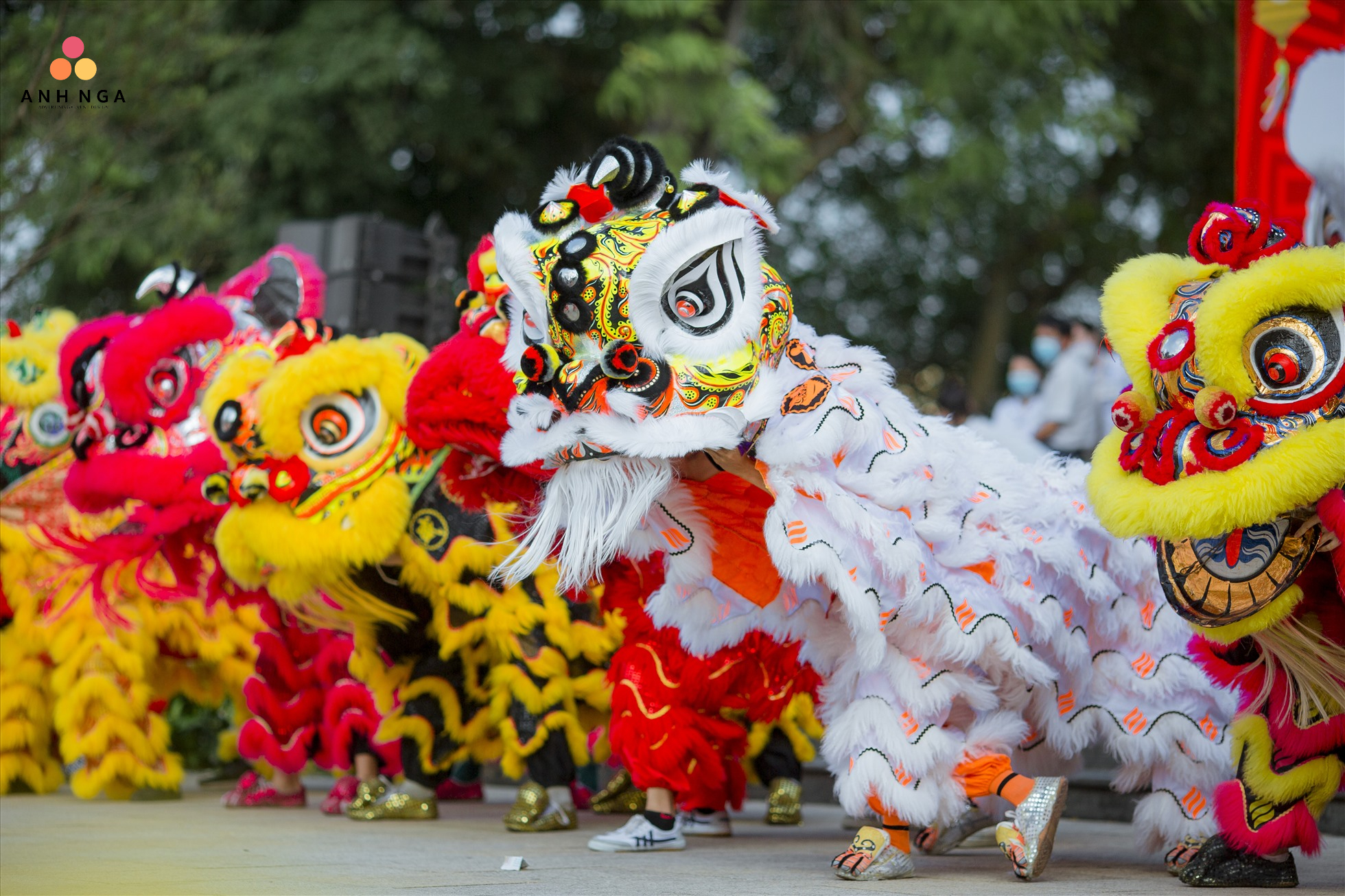 Gói Lục Lân Báo Hỷ