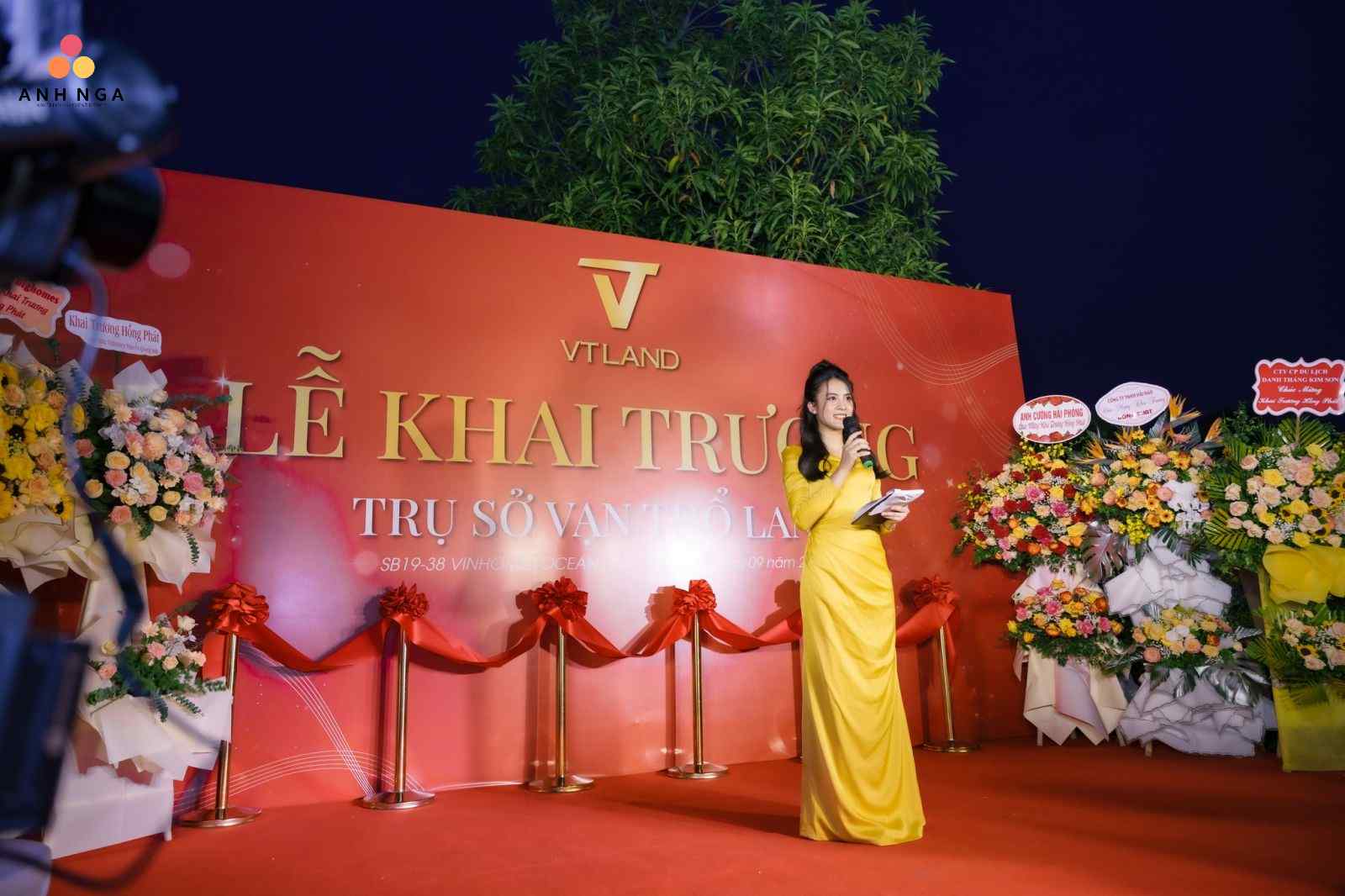 Phần tuyên bố lý do